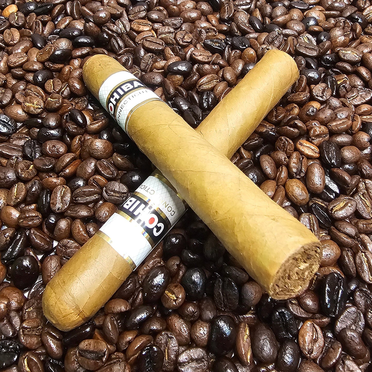 Cohiba Connecticut