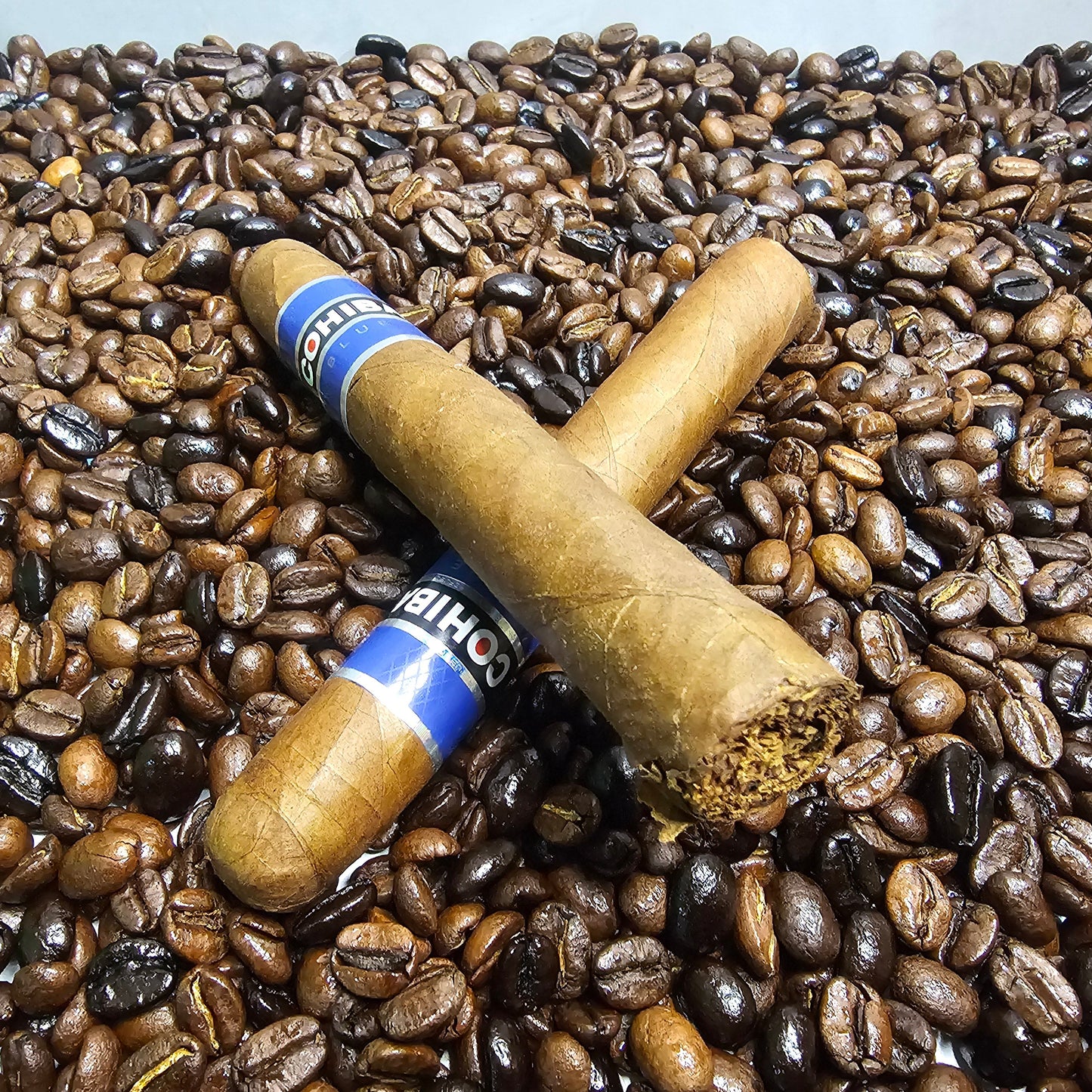 Cohiba Blue