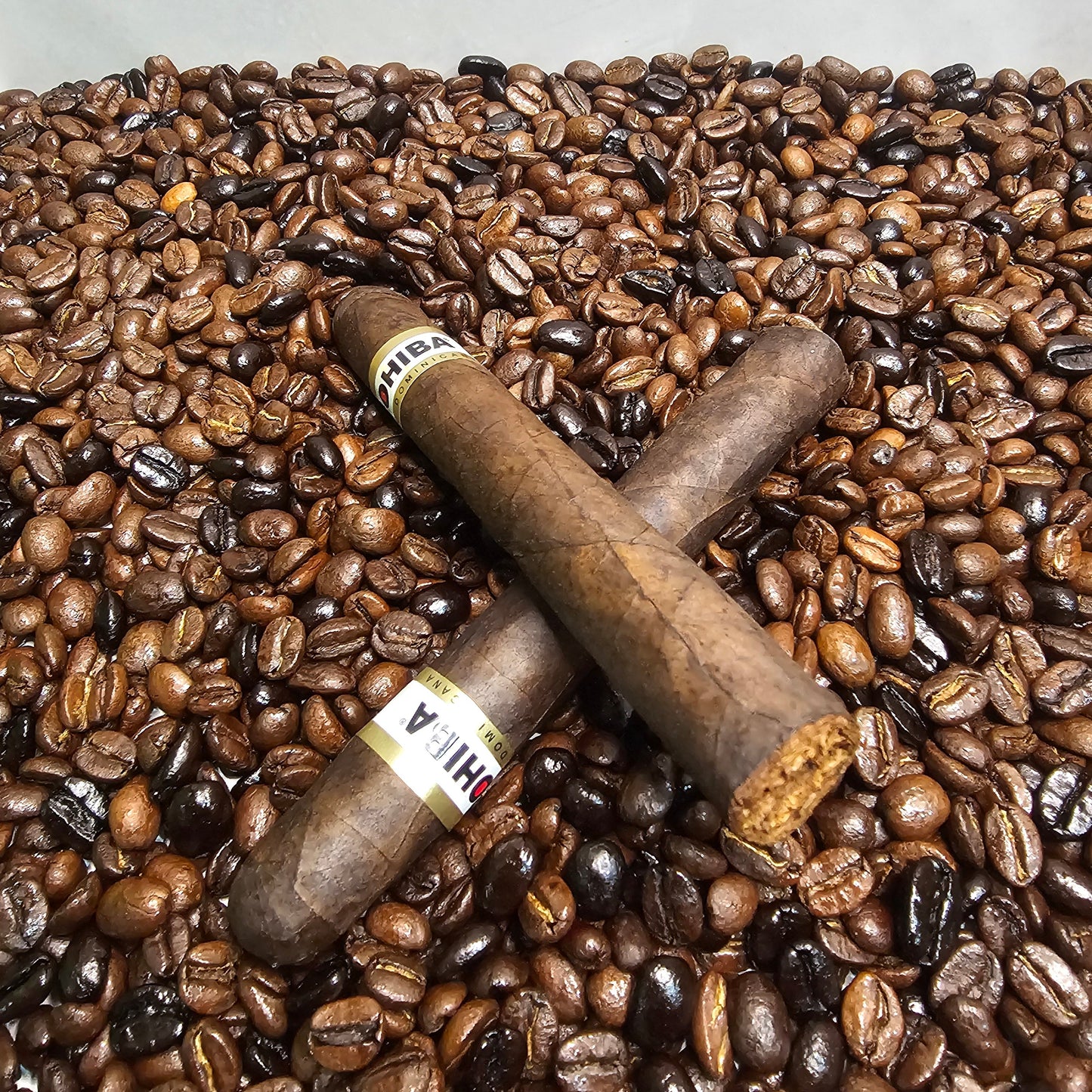 Cohiba Puro Dominicana