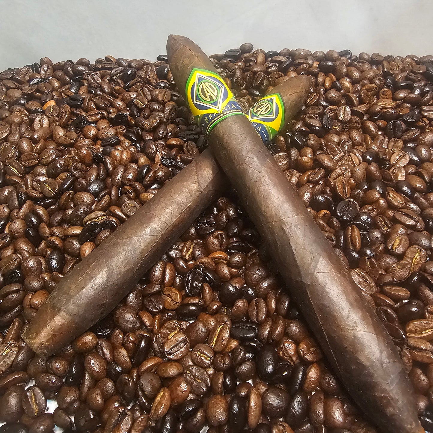 CAO Brazilia Anaconda
