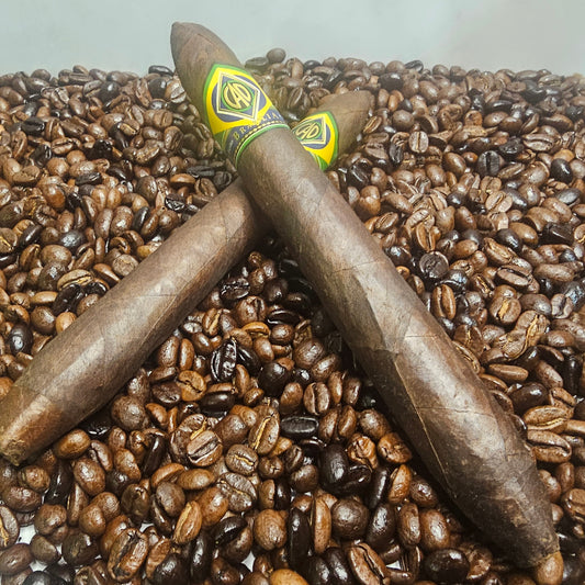 CAO Brazilia Anaconda