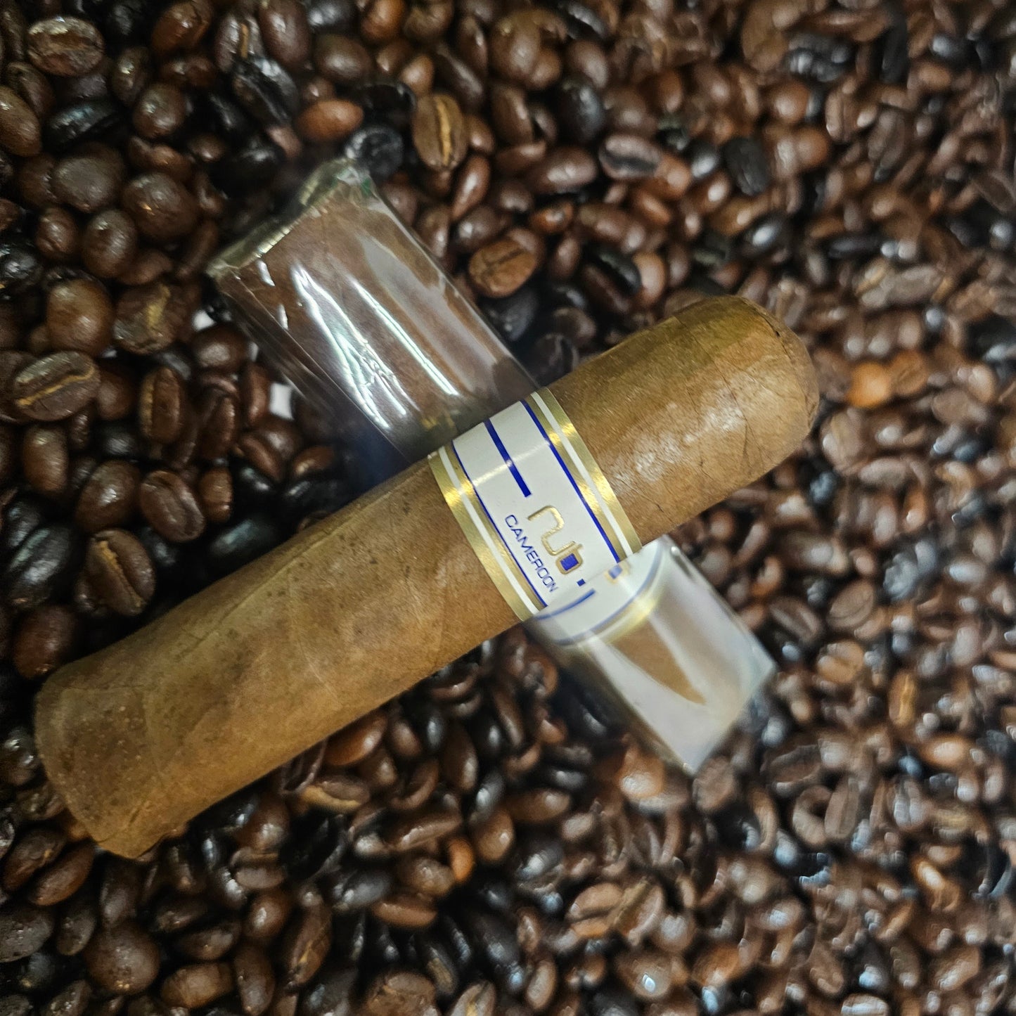 NUB Cameroon 460