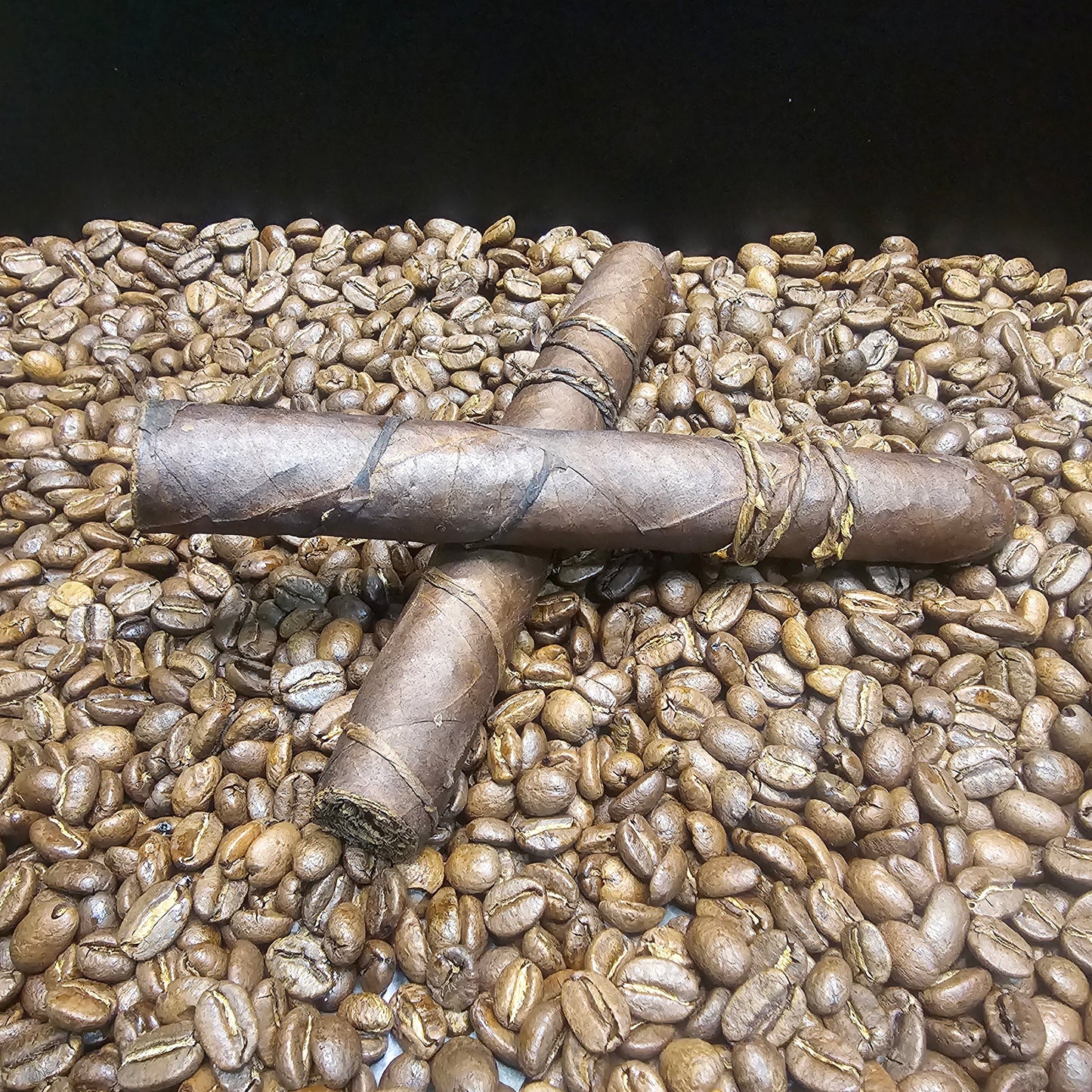 CAO Amazon Basin Orellana OR Release 2019