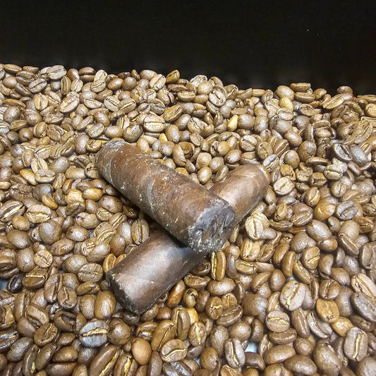 Viaje Zombie Supershot 10G 2013