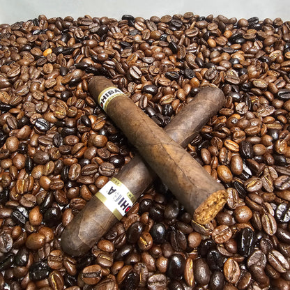 Cohiba Puro Dominicana