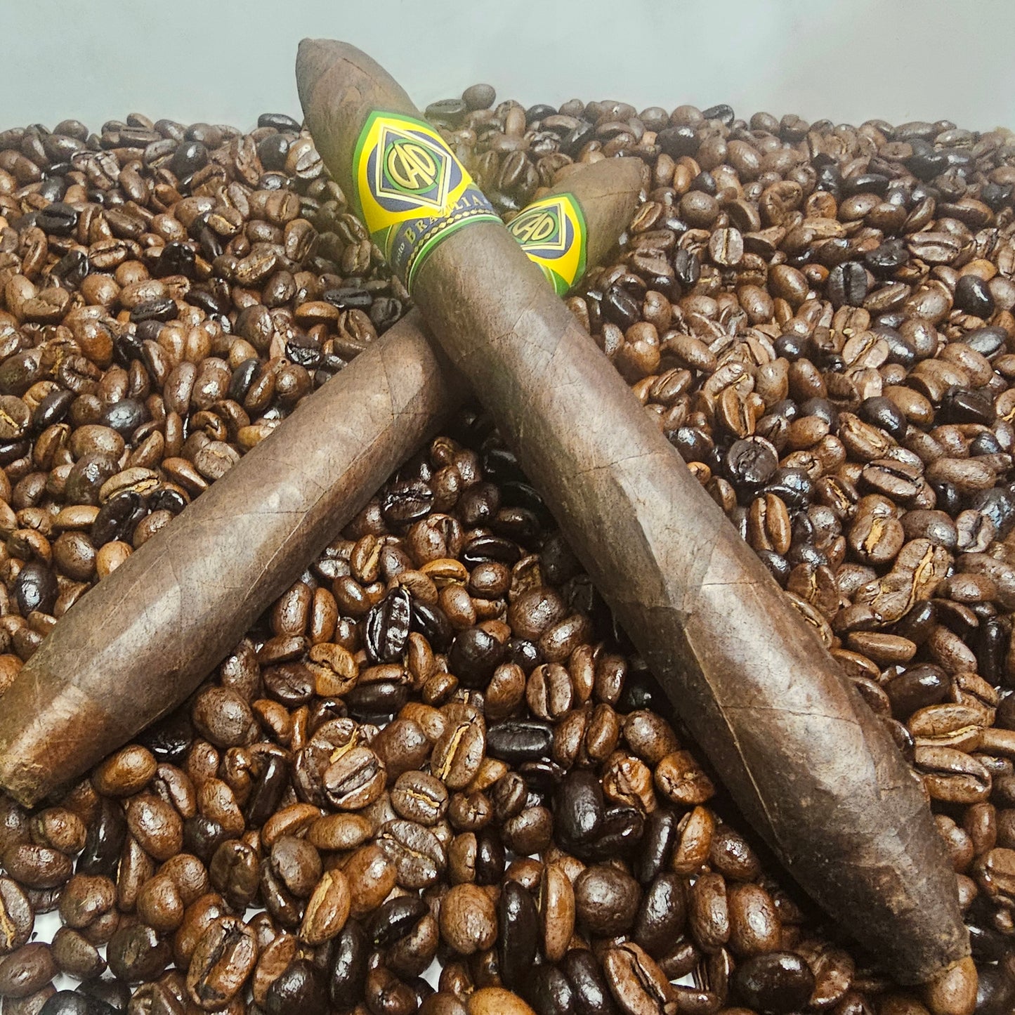 CAO Brazilia Anaconda